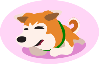 a shiba inu lying down